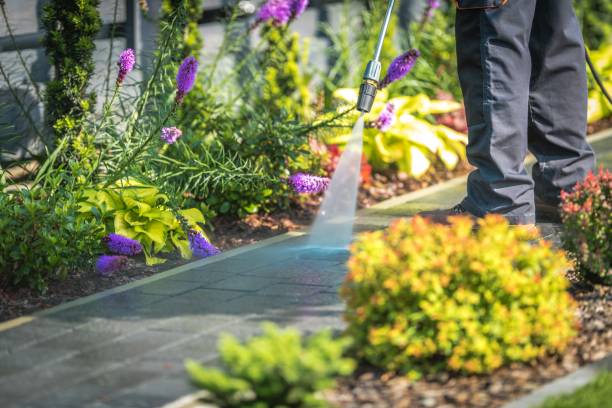 Best Winterizing Services  in Barry, IL