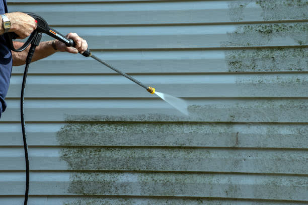 Best Roof Washing  in Barry, IL