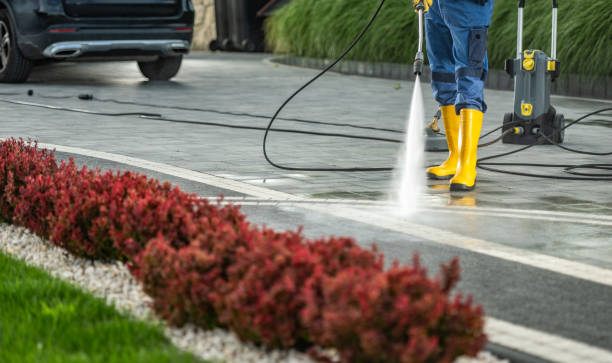Best Gutter Cleaning  in Barry, IL